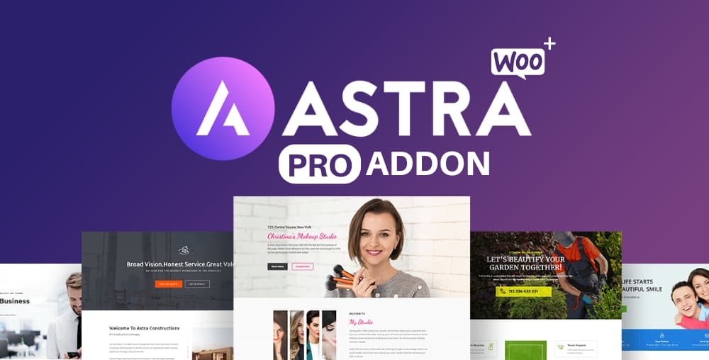 Astra Pro Addon For Astra Theme - Online bd work