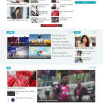Newspaper WordPress Website Seventeen - online bd work - online bd work
