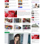 Newspaper WordPress Website Eight - online bd work
