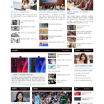 Newspaper WordPress Website Nine - online bd work