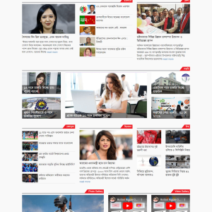 Newspaper WordPress Website Ten - online bd work
