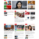 Newspaper WordPress Website Twentytwo - online bd work