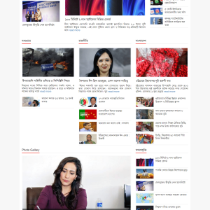 Newspaper WordPress Website Two - online bd work