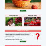 Lichu Ecommerce Landing Page - online bd work